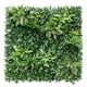 thumbnail image 1 of Jardin Vertical Amazonas, 1 of 2