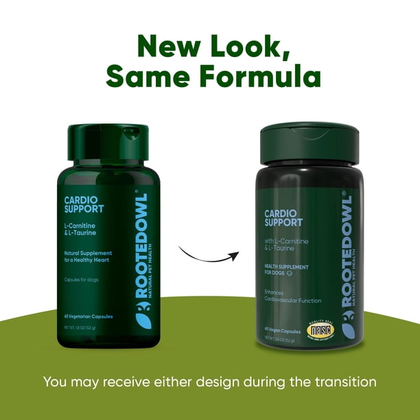 l carnitina capsulas Cpsulas L-Carnitina de calidad