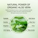 thumbnail image 5 of Gel de aloe vera Aloderma 99% orgánico, 45 ml, para rostro y cuerpo, 5 of 9