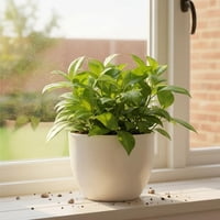 Arbusto Real - Macetero Nórdico Beige Redondo L 30 Cm 40 X 24 X 30 Beige