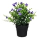 thumbnail image 2 of Set 2 Planta Artificial Mini Arbusto Rosas Silvestres Jhn, 2 of 3