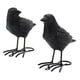 thumbnail image 5 of Estatuas De Cuervo De Resina De 2 Piezas, Simulación De Pájaro Falso Para Terraza, Patio, Lugares Escénicos, 5 of 5