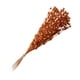 thumbnail image 3 of Falsa Baya Tallos Decoración Simulación Flor Plantas Guirnalda Fiesta Naranja, 3 of 5
