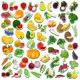 thumbnail image 1 of Set de imanes SpriteGru Fruits & Veggies, 59 unidades, para niños, 1 of 2