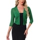 thumbnail image 1 of INSPIRE CHIC Bolero de Malla Transparente para Mujer de Halloween, Chaqueta Ligera Recortada con Mangas 3/4 Verde XS, 1 of 6