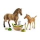 thumbnail image 3 of Set de juego con figuras de cuidado de animales Schleich Horse Club 42432, 3 of 8