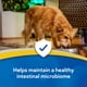 thumbnail image 5 of Suplemento Digestivo Gi Synbiotics, 5 of 6