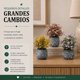 thumbnail image 4 of Set 3 Plantas Artificiales Flores Velo de Novia Decoracion gris, 4 of 8