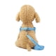 thumbnail image 2 of Arnés más Correa para Perros Mascotas Gatos Azul Celeste, 2 of 3