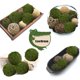 thumbnail image 2 of Bolas de musgo decorativas Usmola para centros de mesa, cuencos y llenadores de jarrones, 2 of 7