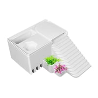 Magideal - Rampa Para Tortugas Descansando Y Tomando El , Rampa Para Tortugas, Muelle Decorativo, Terraza De Descanso Para Tritones, Ranas Y Animales Semiacuá 34 Cm X 275 Cm X 11 Cm