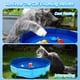 thumbnail image 3 of Juguetes Interactivos Para Piscina Para Gatos Con 6 Juguetes Acuáticos En Forma De Pez, 3 of 6