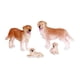 thumbnail image 1 of Familia de perros, 1 of 2