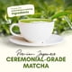 thumbnail image 5 of Matcha Latte Zealthy Life Organic con ashwagandha y maca 138 ml, 5 of 8