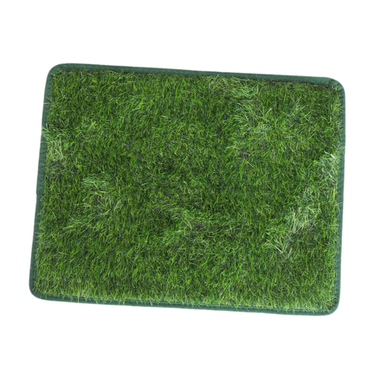 Ioensy - Césped Artificial Para Orinar En La Cama De Tu Perro, Alfombra De Césped Artificial Para Patio, Baño Y Gatitos, 50 X 70 Cm
