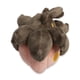 thumbnail image 3 of Peluche Pokémon Center Pumpkaboo Sitting Cuties de 10 cm, 3 of 4