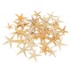 thumbnail image 1 of Conchas De Estrella De Mar Naturales, Exhibición De Boda, Decoración Artesanal Para Acuario, 2-3cm, 50 Uds., 1 of 5