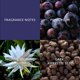 thumbnail image 3 of Perfume Christina Aguilera Moonlight Bloom 15 ml, 3 of 7