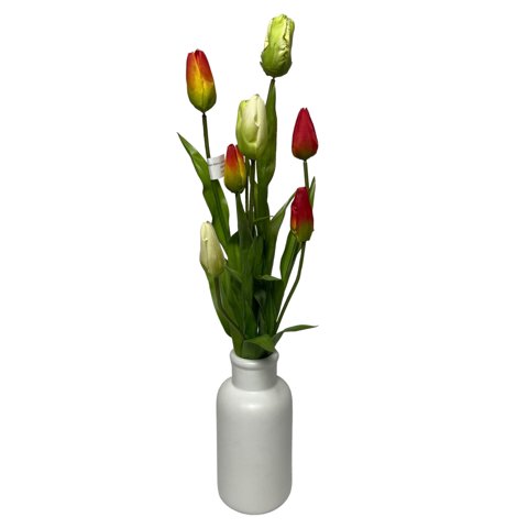 Corel - Arreglo Tulipan 50Cm (Sin Macetero)