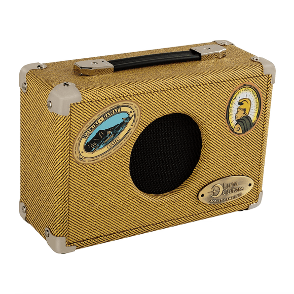 Amplificador Combo Luna Portatil Electroacustico 5W (A Pilas) AG5
