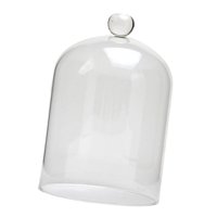 Bothyi - Cubierta De Vidrio Con Flores Preservadas, Elegante Para Navidad, Sala De Estar, Aniversarios L