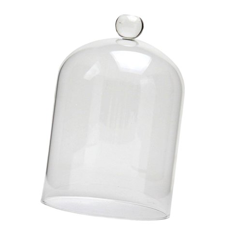 Bothyi - Cubierta De Vidrio Con Flores Preservadas, Elegante Para Navidad, Sala De Estar, Aniversarios L