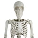 thumbnail image 5 of Figura esqueleto 3m con soporte metálico, 5 of 5