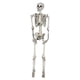 thumbnail image 3 of Calavera De Esqueleto De Simulación De 185 Cm Chic Para Fiestas Temáticas De Porche De Casa Embrujada, 3 of 5