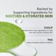 thumbnail image 5 of Toallitas Tónicas P.CALM Ácido Azelaico Matcha 110g 60 Toallitas, 5 of 7