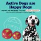 thumbnail image 4 of Juego de pelotas de tenis American Pet Supplies con revestimiento de TPR para perros, 4 of 7