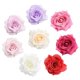 thumbnail image 1 of 10pcs Seda Artificial Rosa Flor Cabezas Boda Decoración De La Fiesta Mixta, 1 of 5