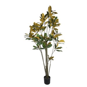 Corel - Planta Decorativa Arbol Magnolia Denudata 180Cm
