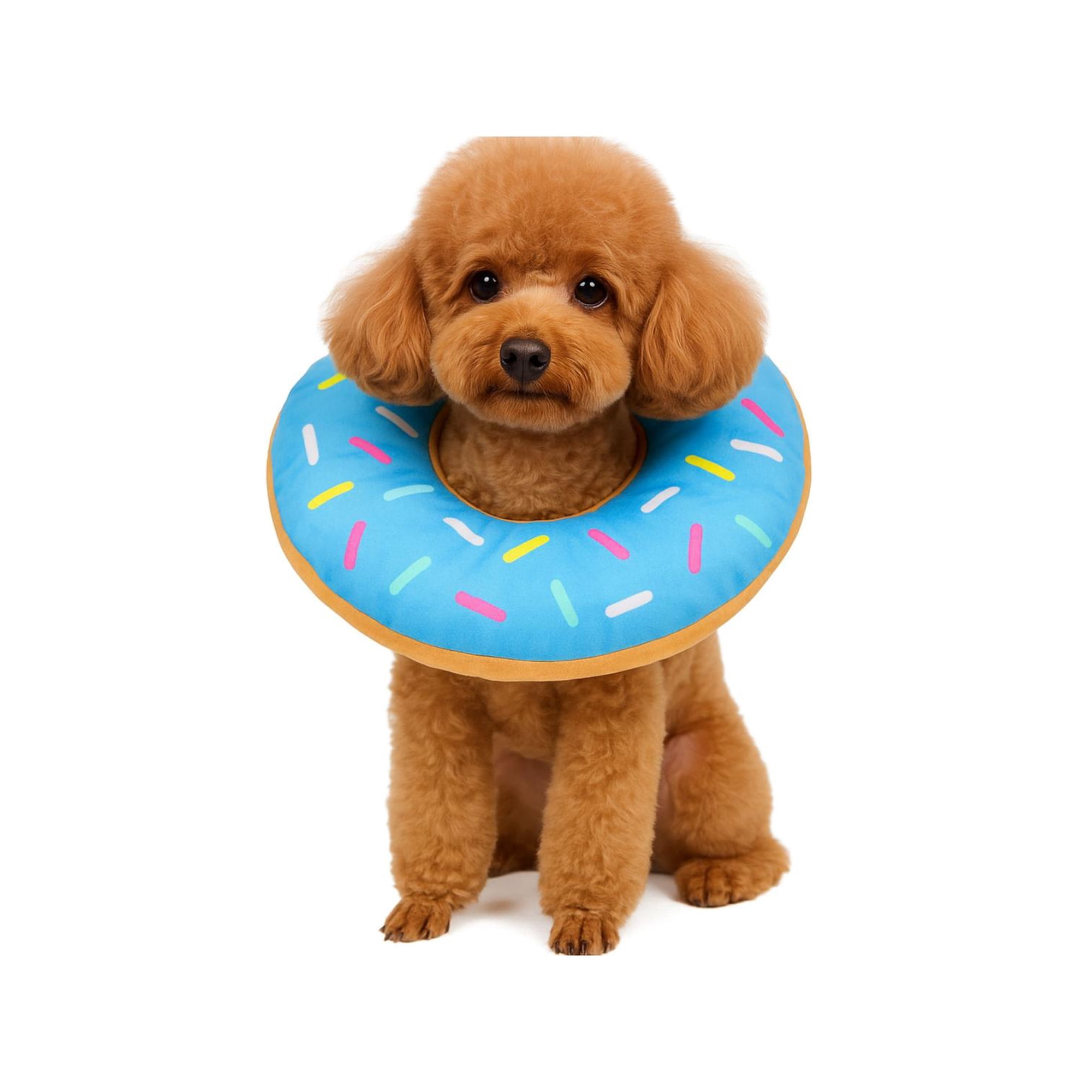 Genérico - Collar Dona Para Mascotas Anti-lamido Talla M Celeste M