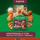thumbnail image 2 of Alimento Seco Perro Adulto Multi Proteina Carne Bolsa, 3 kg, 2 of 6