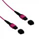 thumbnail image 2 of UI 0,5mt MPO-MPO 12-Fibras Type-B OM4 Multimodo MM Jumper Fibra LSZH, 2 of 3