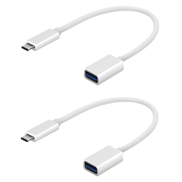 Adaptador USB-C Tek Styz 3.0 OTG (2 unidades) Blanco