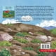 thumbnail image 2 of Libro Infantil Beto Y Bella Buscan Al Rey Cóndor - Editorial, 2 of 2