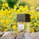 thumbnail image 3 of Perfume Carner Barcelona Tardes Eau De Parfum para mujer, 100 ml, 3 of 4
