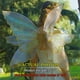 thumbnail image 2 of Juego de mariposas doradas Fairy Wings VersaCharm, tamaño grande, 86 x 64 cm, 2 of 9