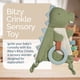 thumbnail image 2 of Juguete sensorial Itzy Ritzy Bitzy Crinkle Dinosaur para bebés, 2 of 7