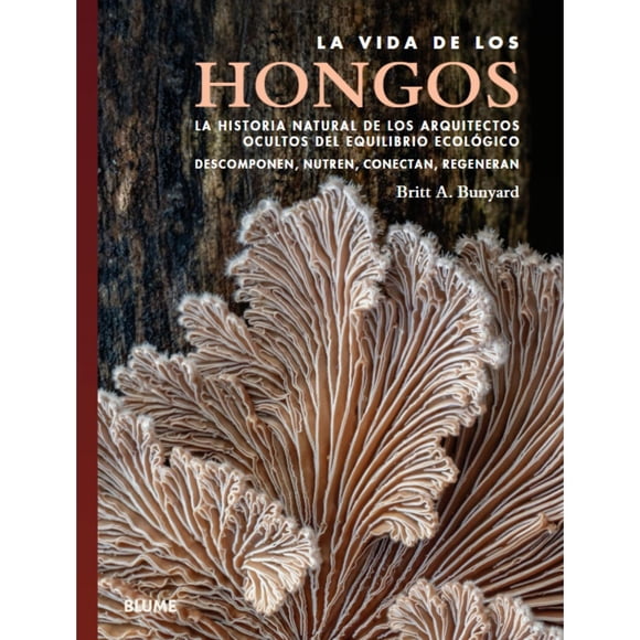 La vida de los hongos