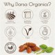 thumbnail image 5 of Haritaki en polvo Darsa Organics 240 ml Premium USDA Organic, 5 of 6
