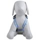 thumbnail image 2 of Arnés para perro Pet Life Pocket Bark reflectante y ajustable, 2 of 4