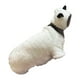 thumbnail image 1 of Suéter para Gatos Sin Pelo, Ropa Suave para Gatos, Ideal para Viajes, Disfraz para Gatos (Tamaño XL), 1 of 3