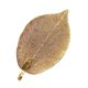 thumbnail image 2 of collar de colgante de hoja multicolor natural colgante colgante de oro, 2 of 5