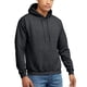 thumbnail image 1 of Sudadera con capucha Hanes Pullover EcoSmart para hombre Charcoal 2XL, 1 of 7