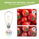 thumbnail image 4 of Bombilla LED Sigalux EcoBright T20, regulable, E26, 7,7 W, 4 of 6