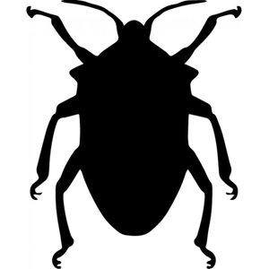 Rienda Libre Graphics - Decomural Beetle Insects Pack Ws-33078