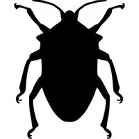 Rienda Libre Graphics - Decomural Beetle Insects Pack Ws-33078