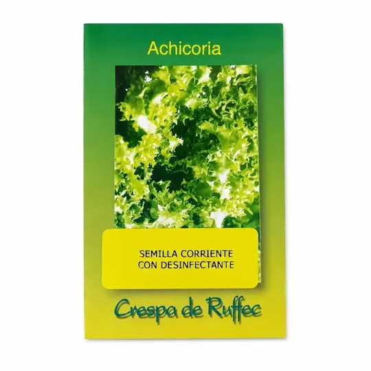 Semillas De Achicoria Crespa De Ruffec Brisol